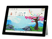 北湖Surface 无法开启、Windows 无法启动或电池无法充电