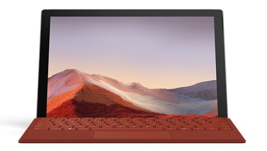 北湖清洁和维护 Surface
